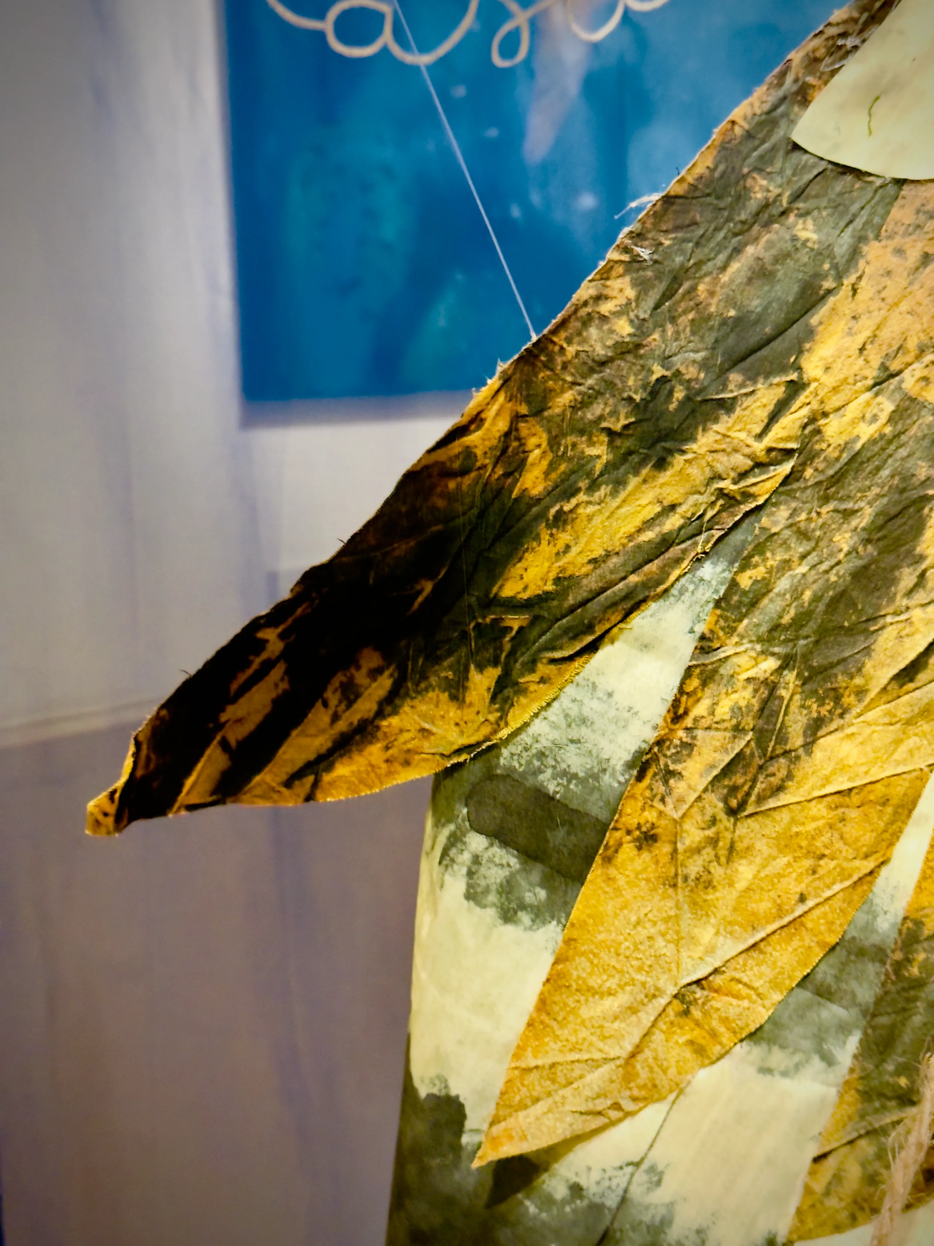 Wings After Attar — Owl Wing — SPAZJU KREATTIVE Malta