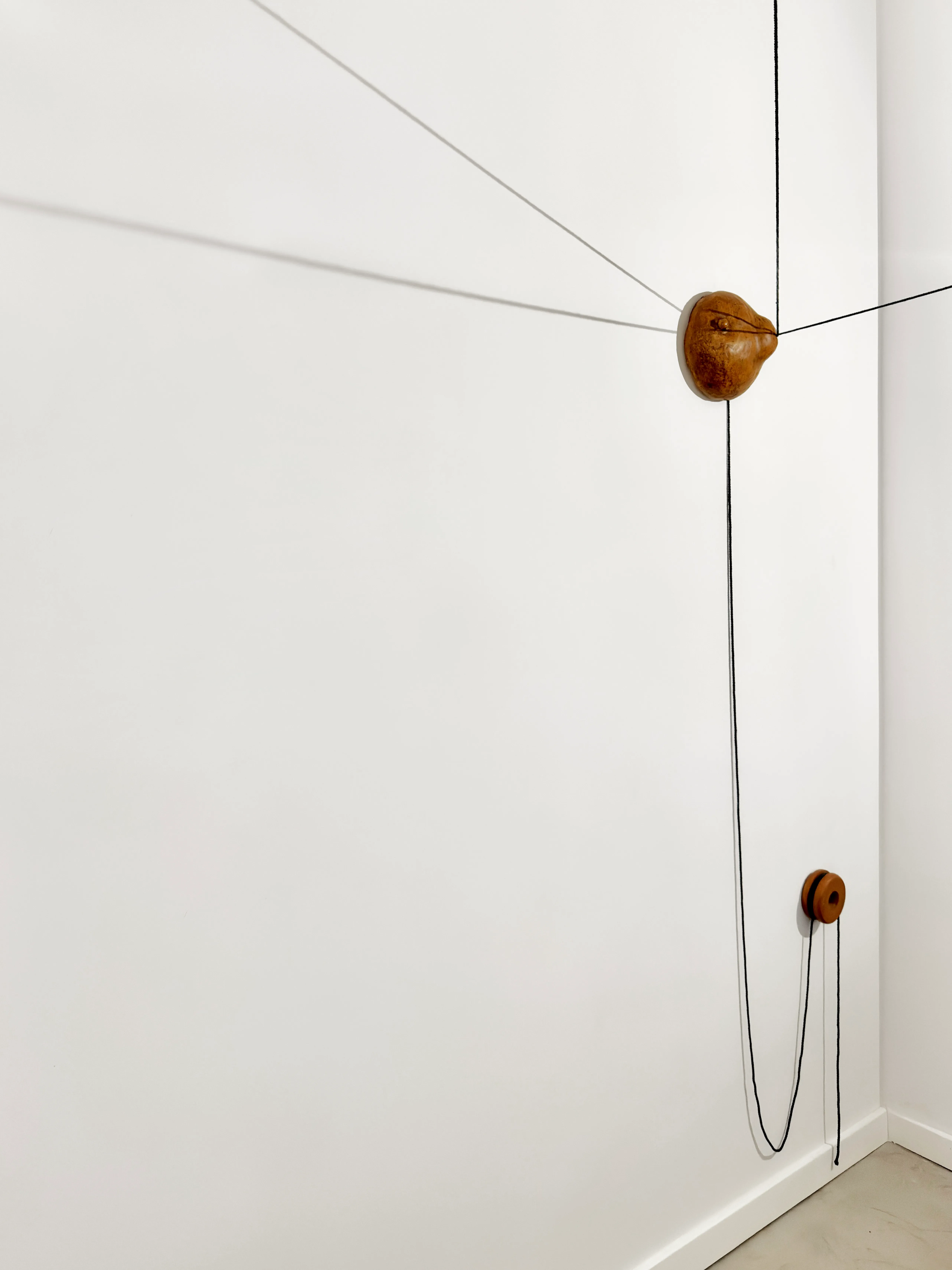 Lacrimal Architecture — Installation View — Casa Donna Di A Serra
