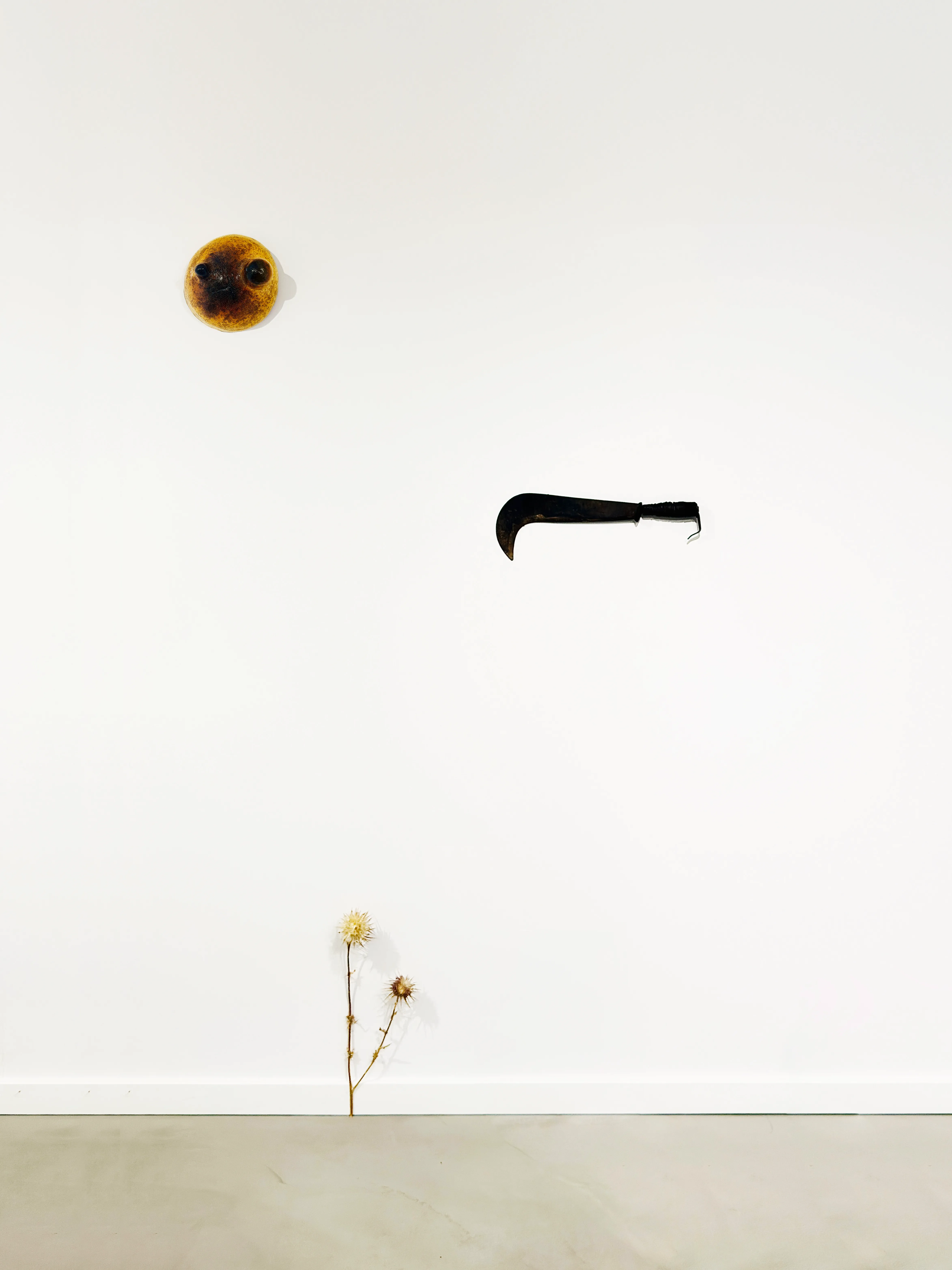 Odyssea — Installation 02 — Casa Donna Di A Serra — 01.jpg