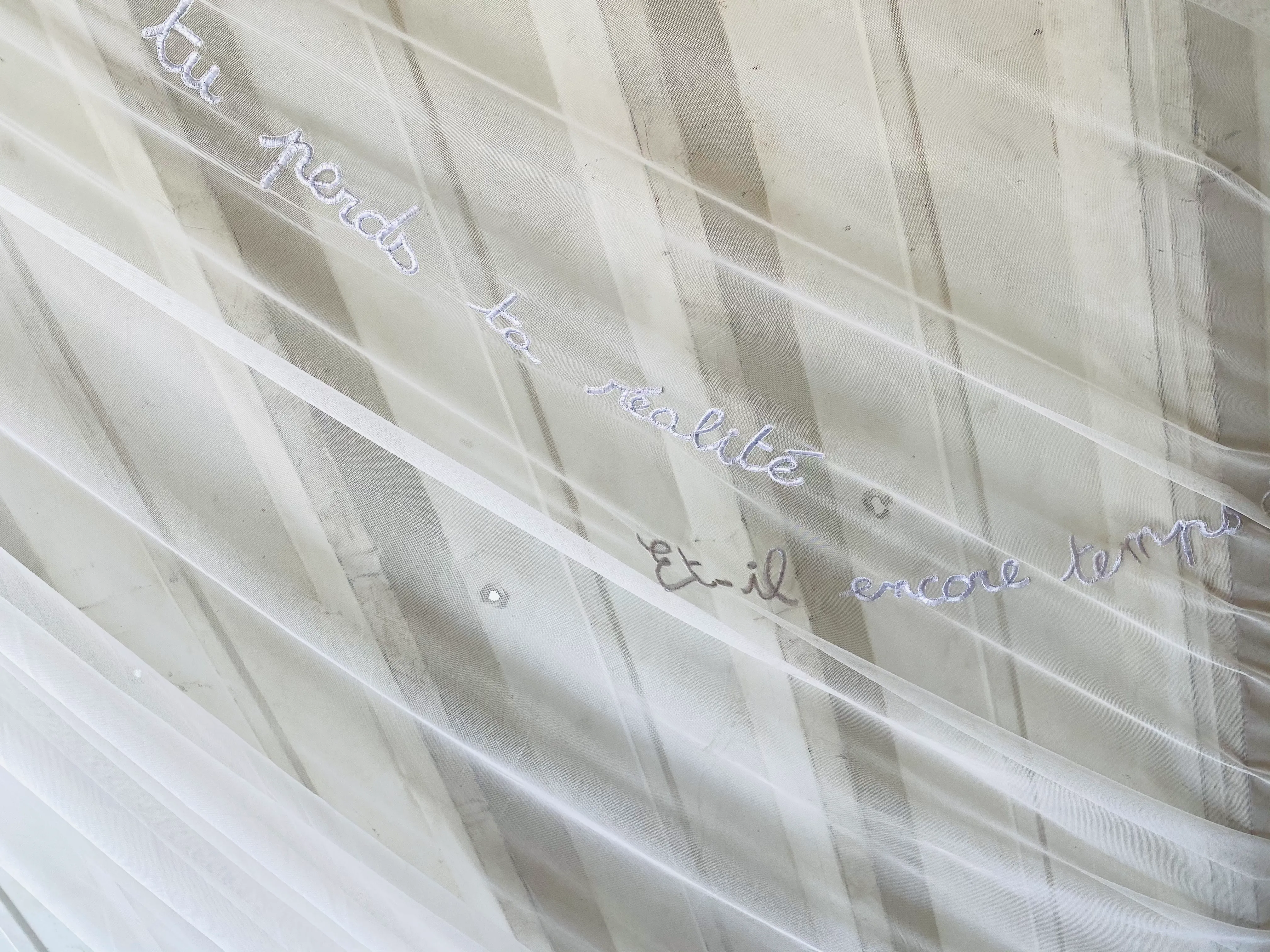 Inhabit Your Body — Artwork 06 — J Ai Tant Reve De Toi