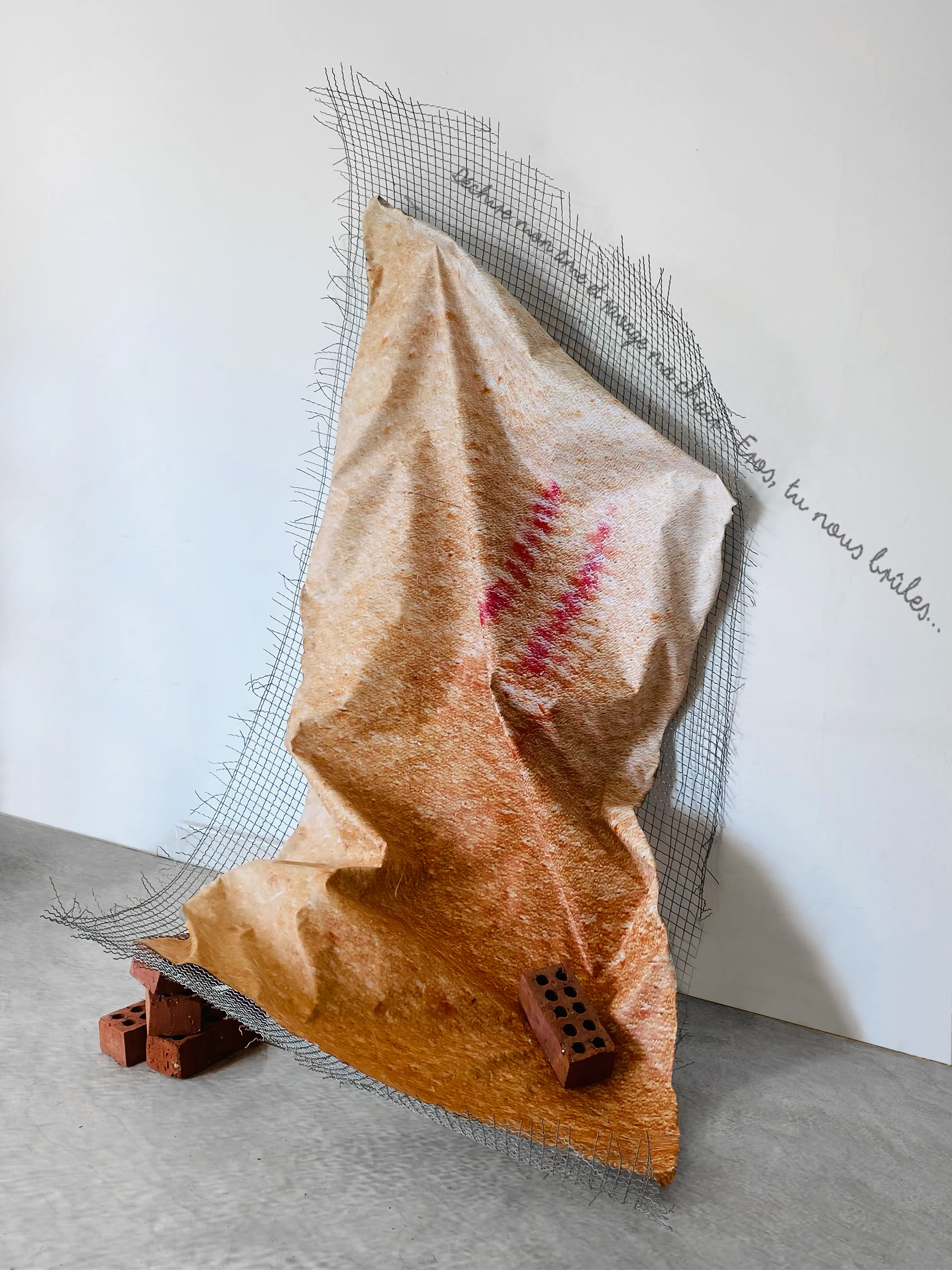 Inhabit Your Body — Artwork 07 — Tu Nous Brule