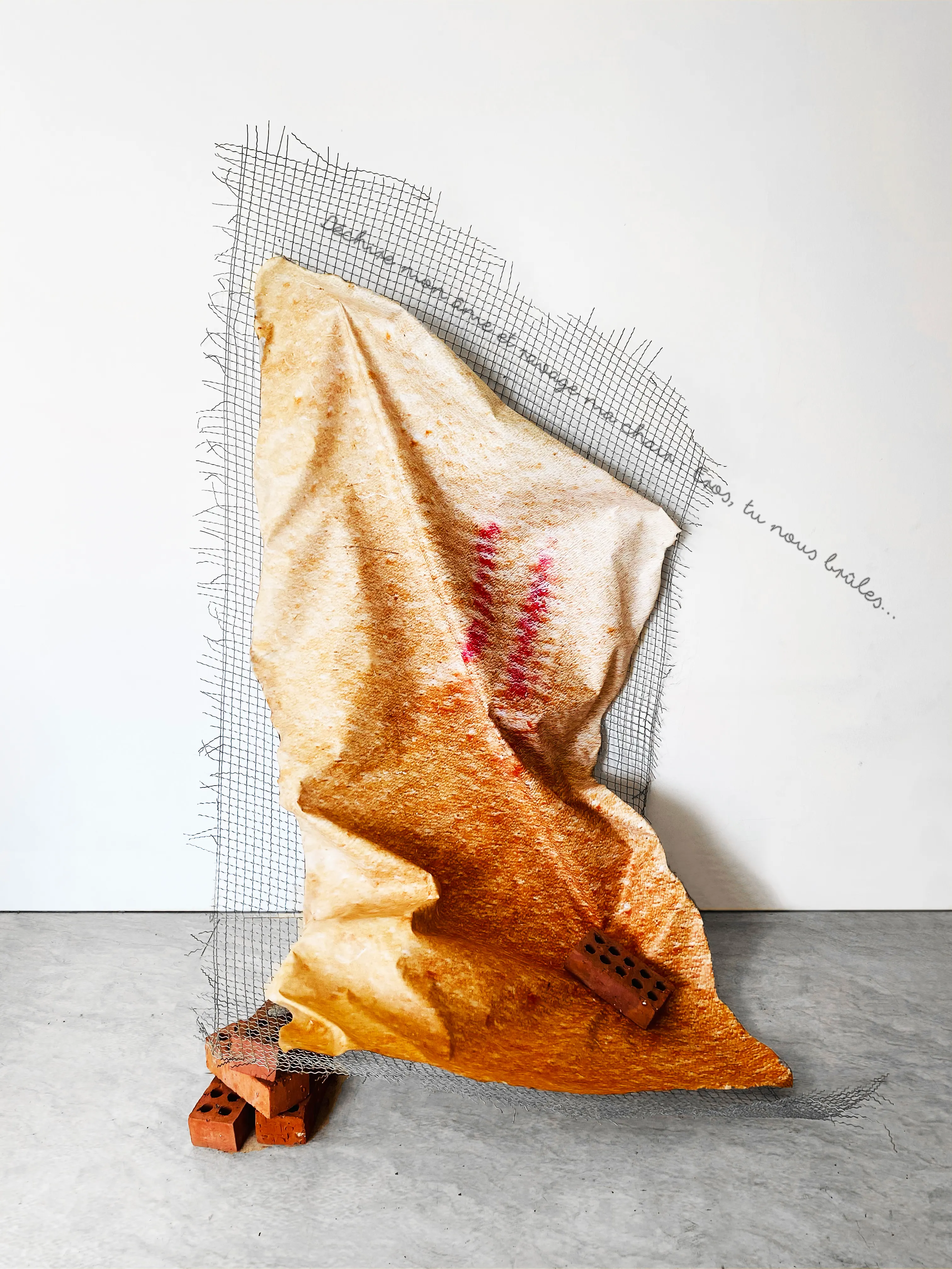 Inhabit Your Body — Artwork 07 — Tu Nous Brule