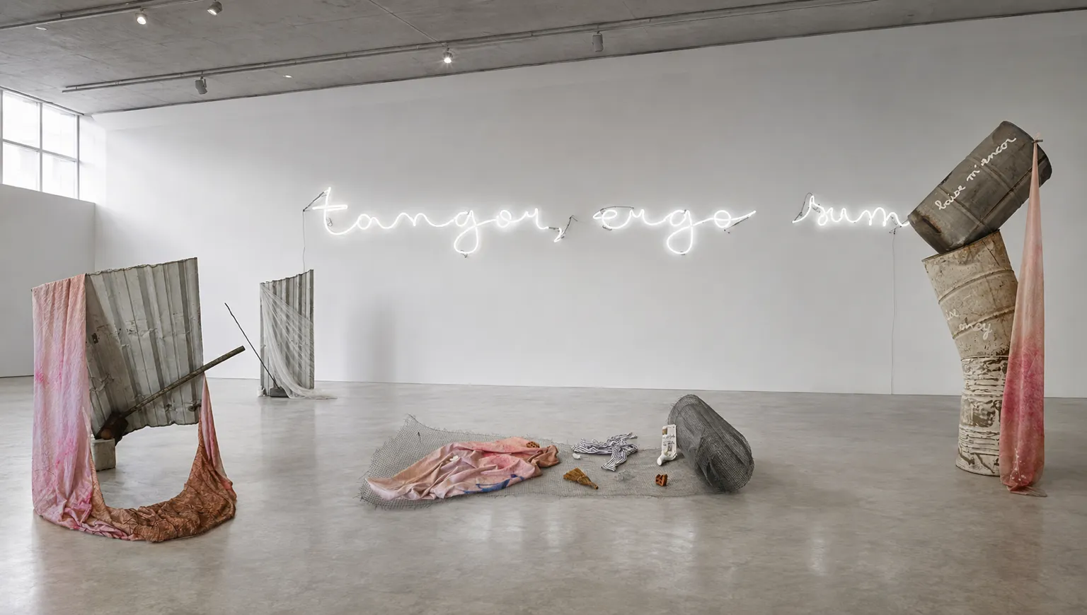 Inhabit Your Body — Installation View