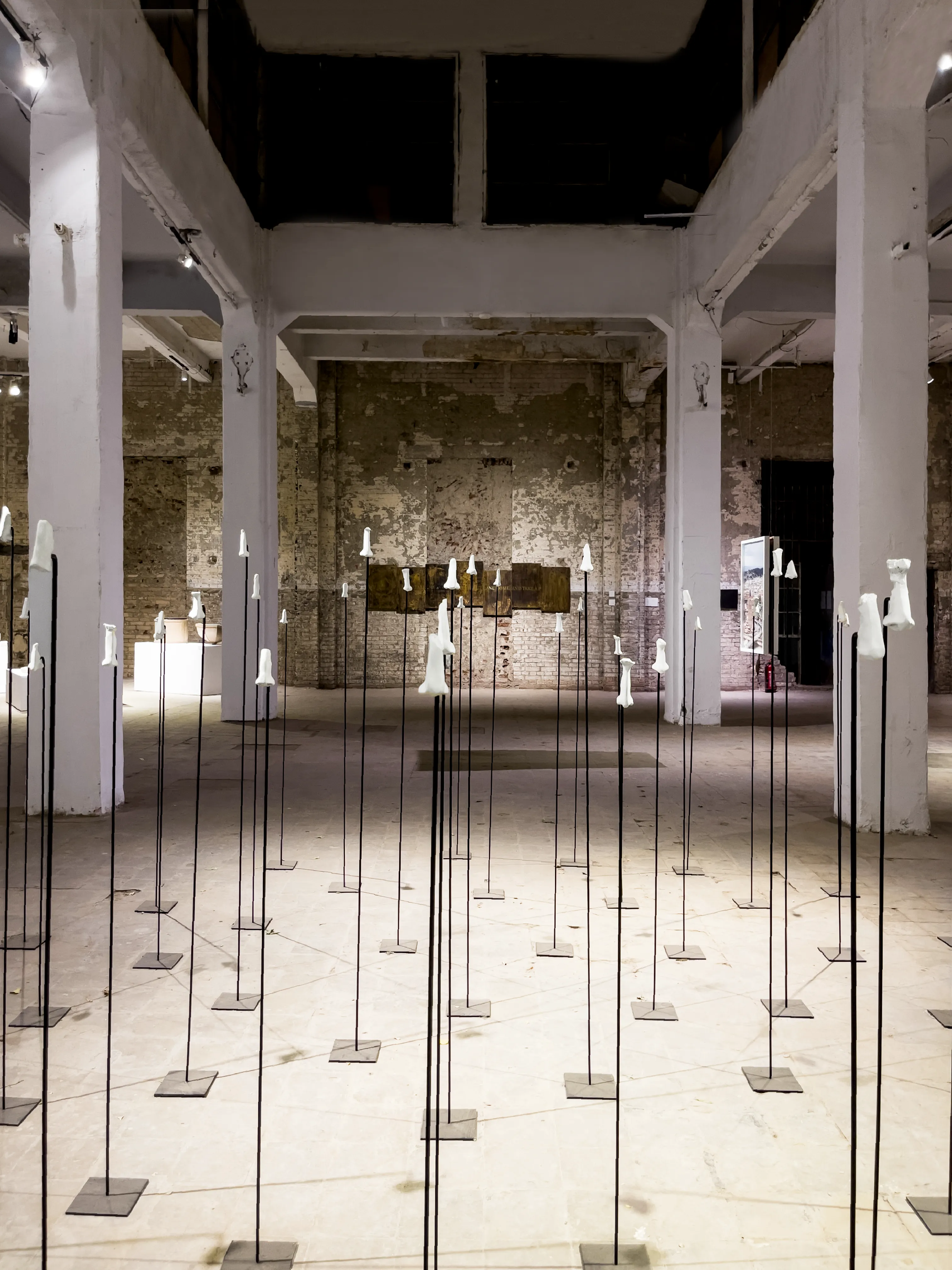 About 2 Inches Long — Installation View — Art D Egypte Cairo