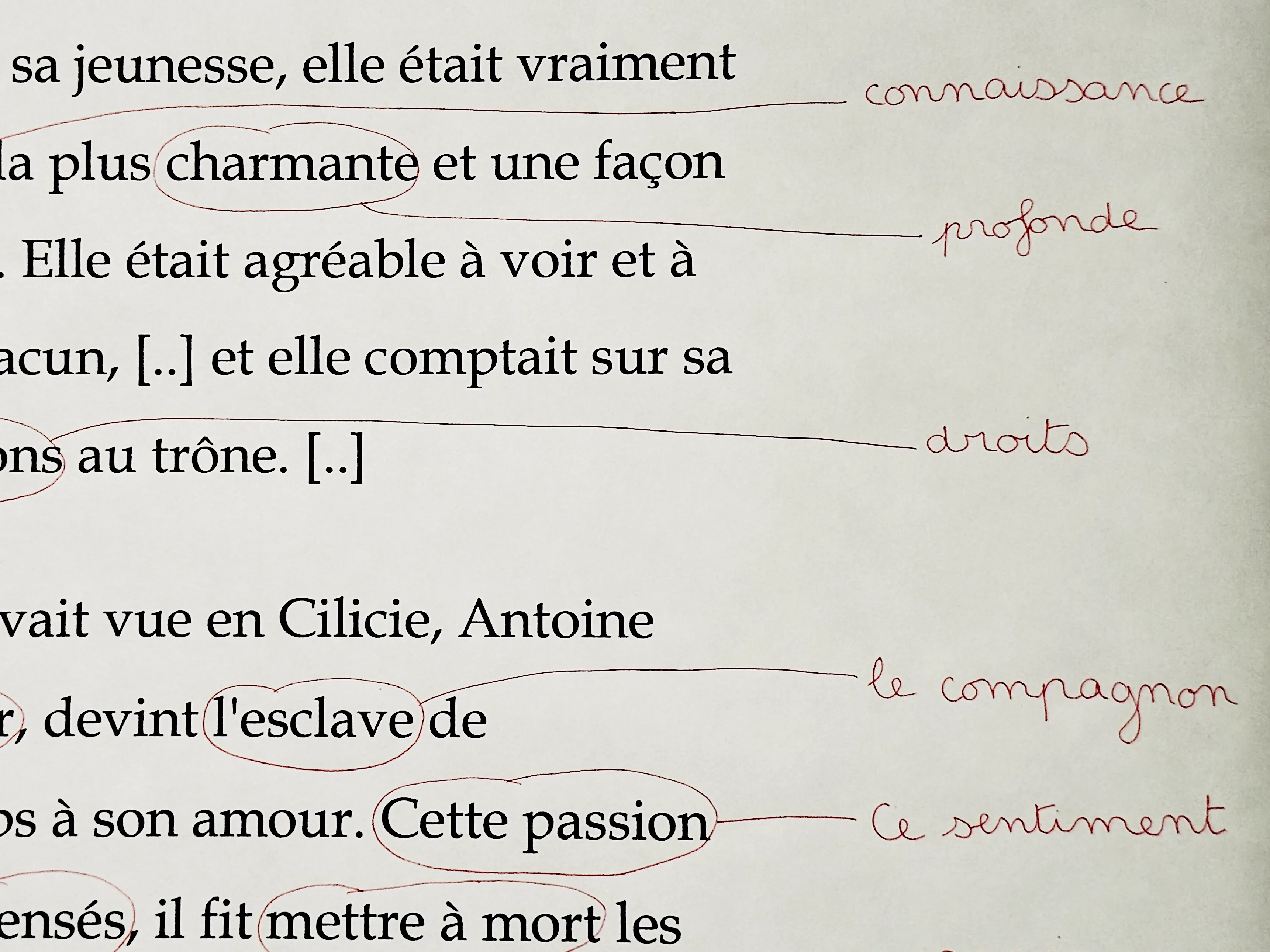 Second Draft — Artwork 03 Cassius Dio — Institut Du Monde Arabe Paris