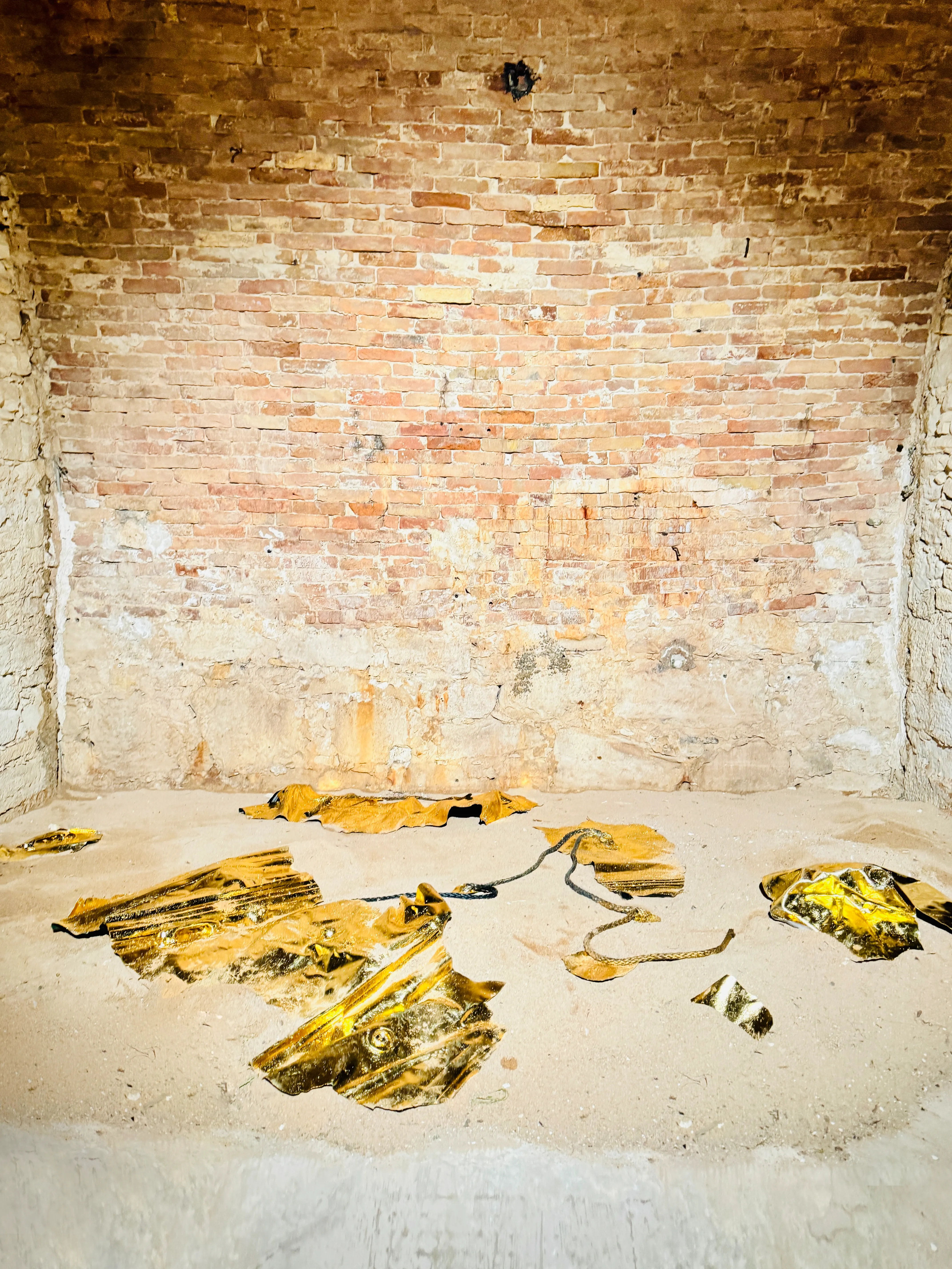 Tout Ce Qui Brille — Installation View — Biennale De Renave Bonifacio France