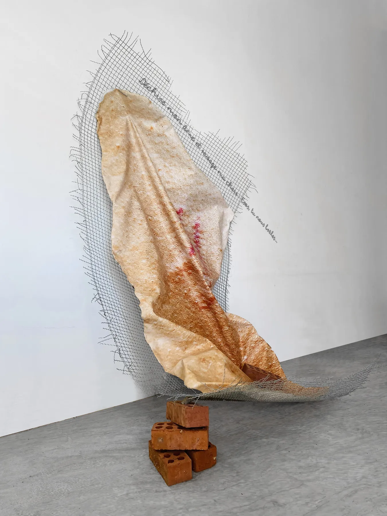 Tu nous brûles, Inhabit Your Body, Esmeralda Kosmatopoulos, vue 2