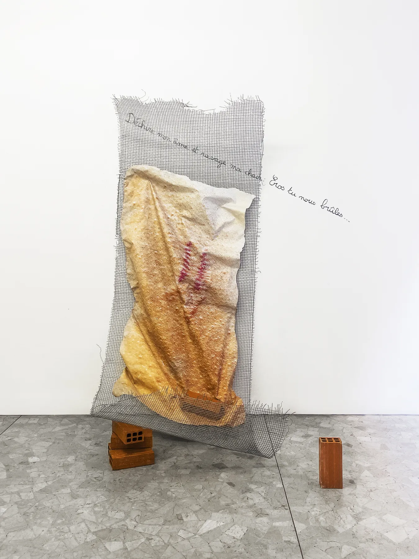 Tu nous brûles, Inhabit Your Body, Esmeralda Kosmatopoulos, view 5, Apick Gallery, Turin