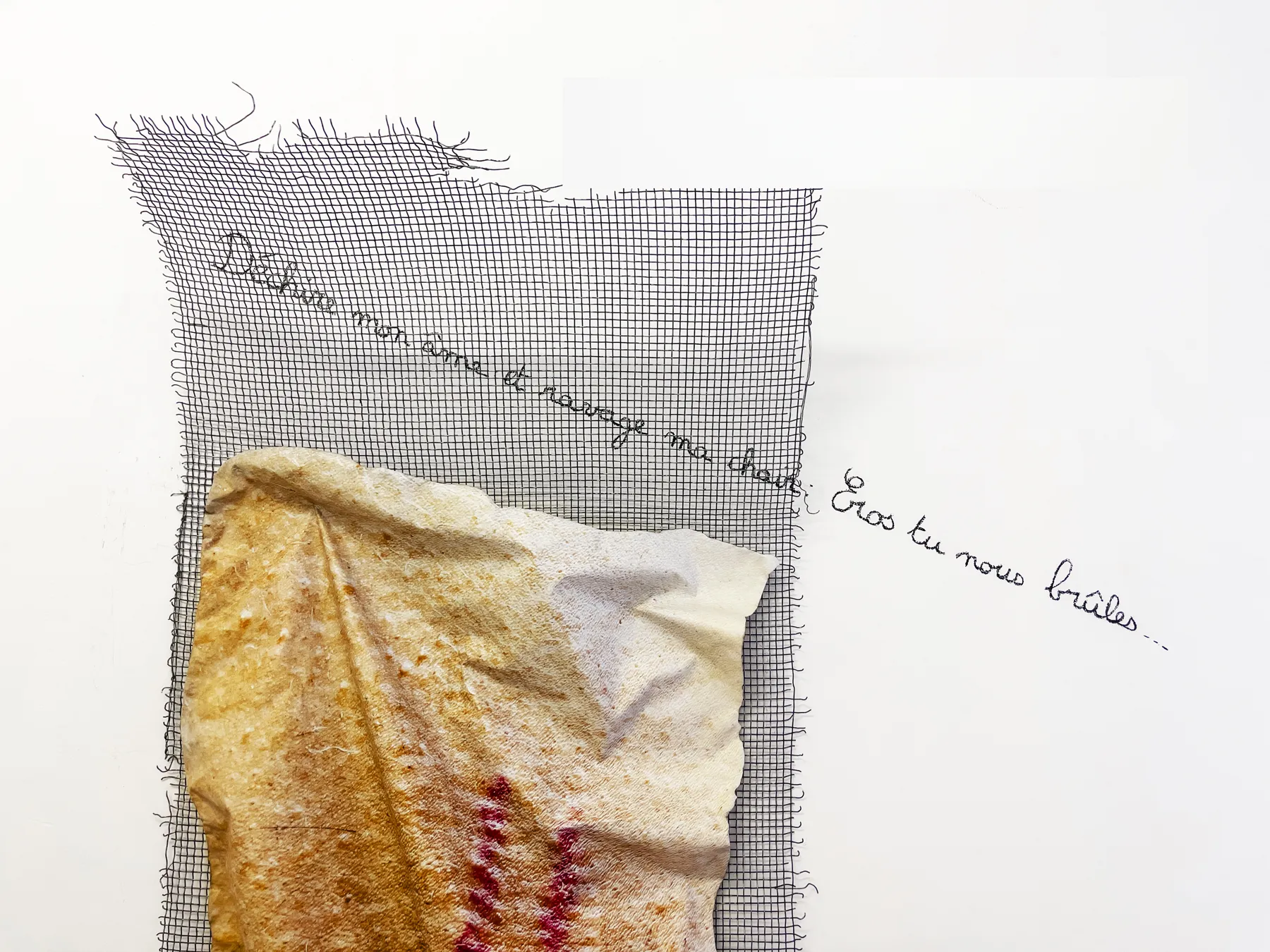 Tu nous brûles, Inhabit Your Body, Esmeralda Kosmatopoulos, view 6, Apick Gallery, Turin