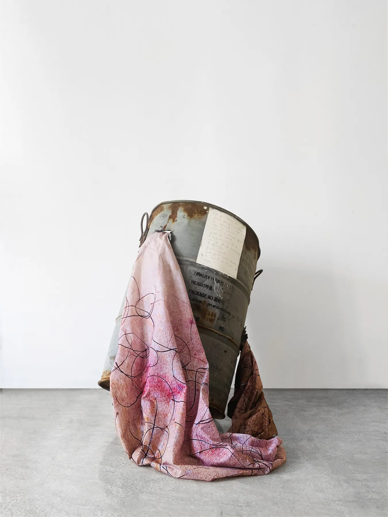 La chair des choses, Inhabit Your Body, Esmeralda Kosmatopoulos, vue 1