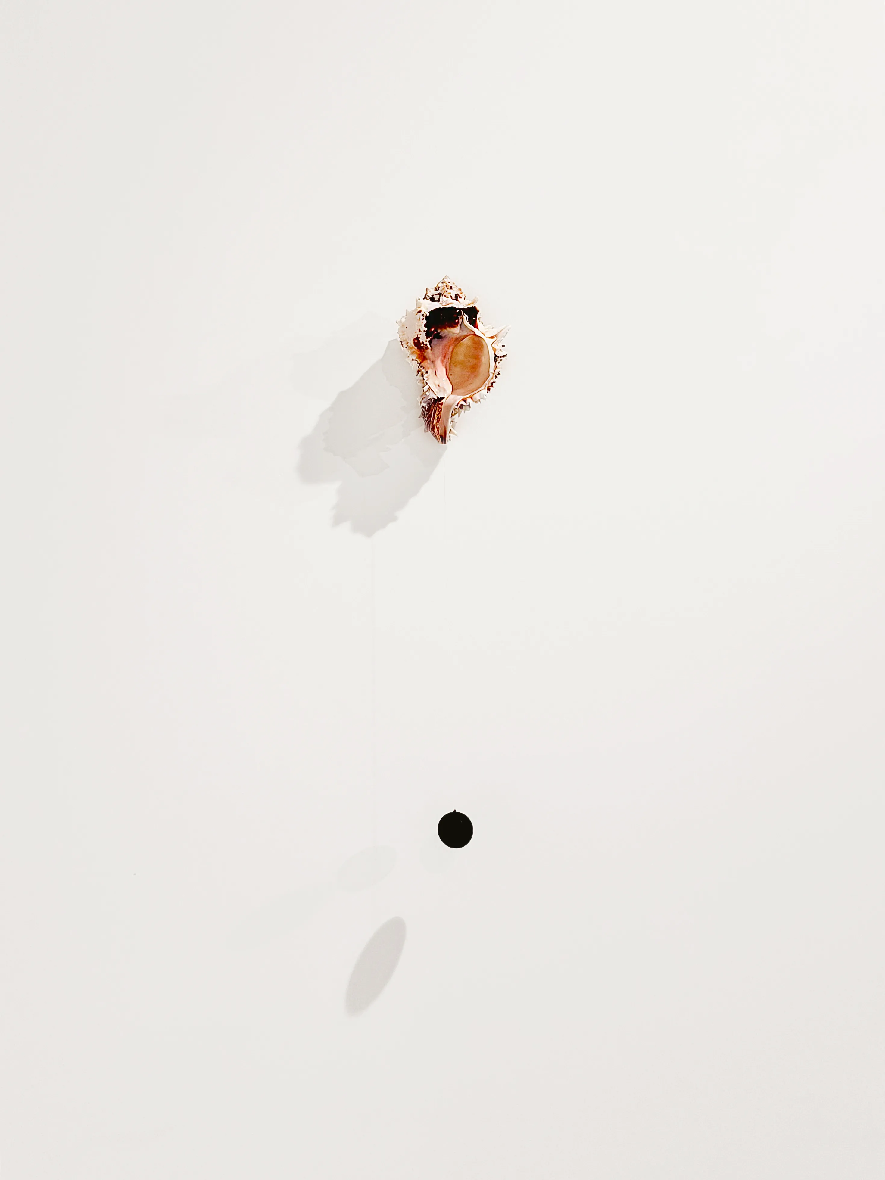 Odyssea — Installation 01 — Casa Donna Di A Serra