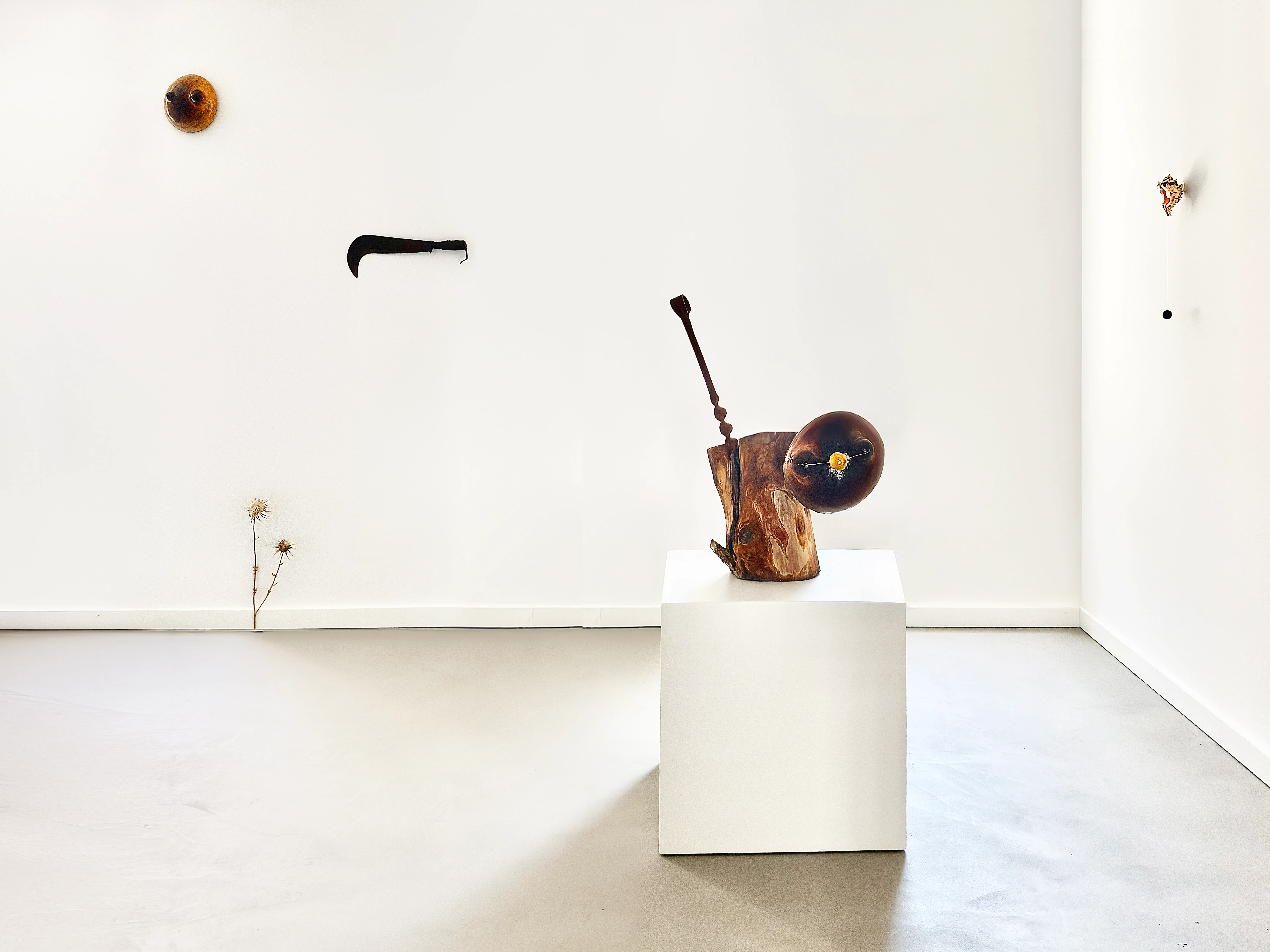 Odyssea — Installation View — Casa Donna Di A Serra