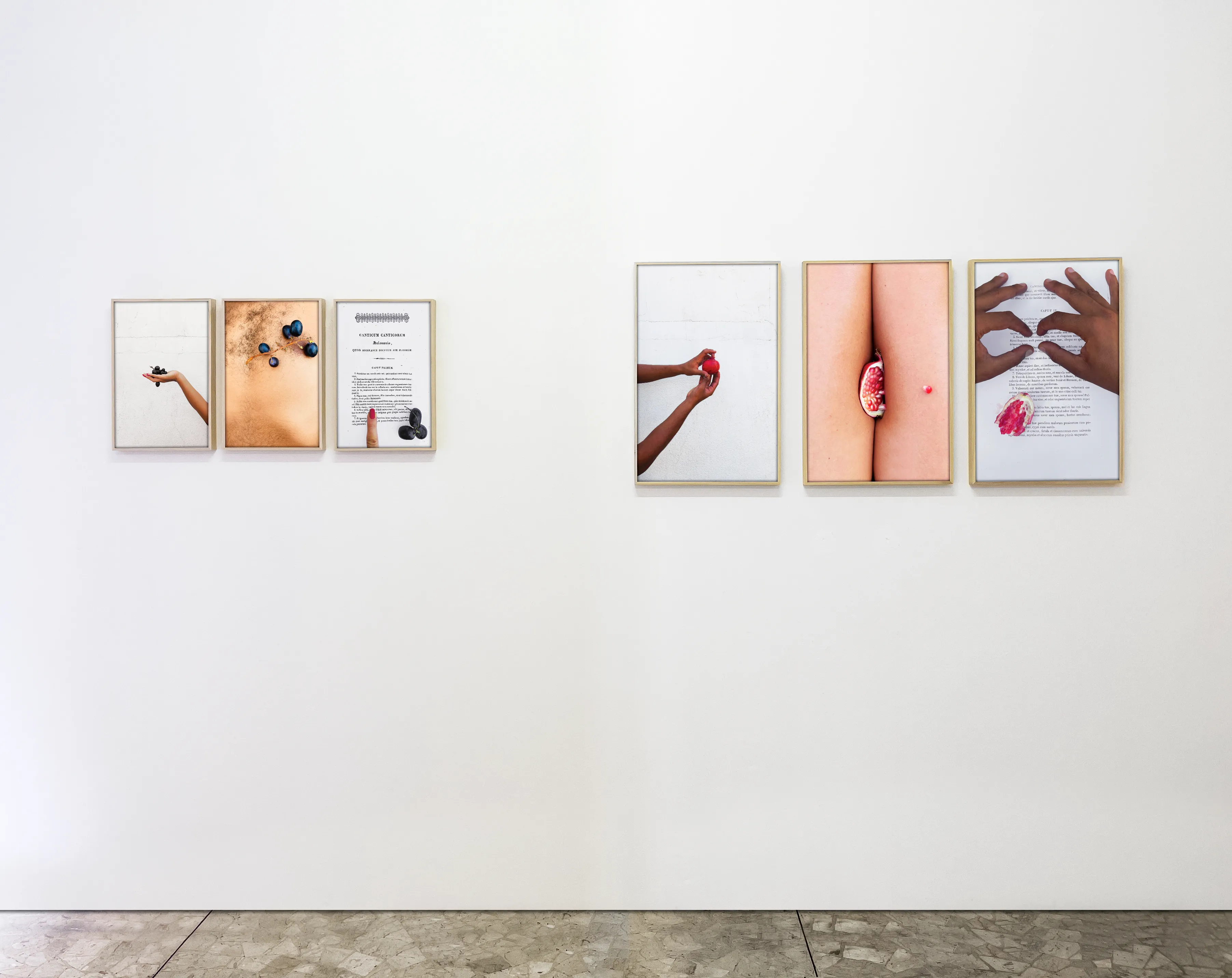 Canticum Canticurum Meum — Installation View — Apick Gallery Turin