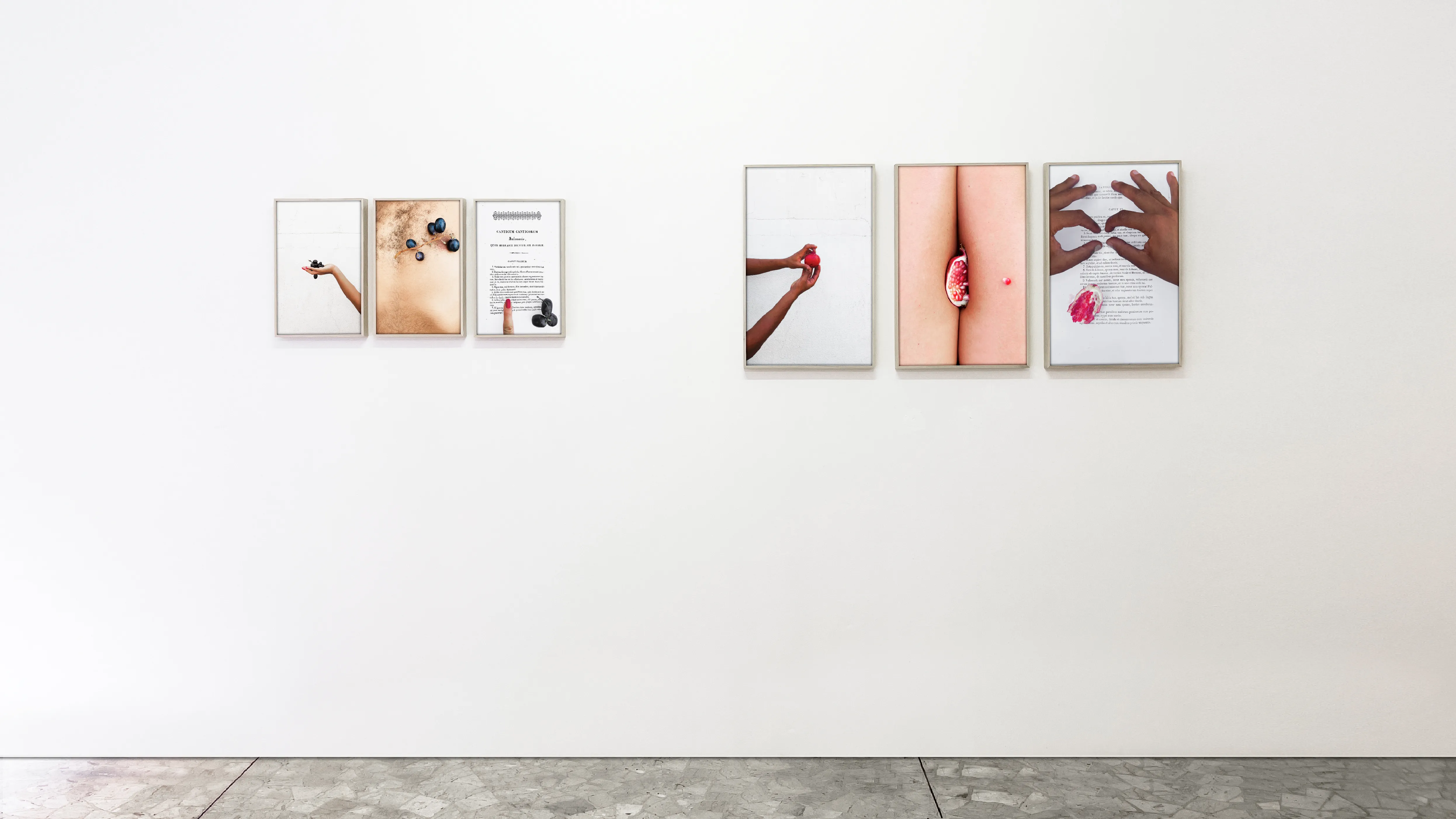 Canticum Canticurum Meum — Installation View — Apick Gallery Turin