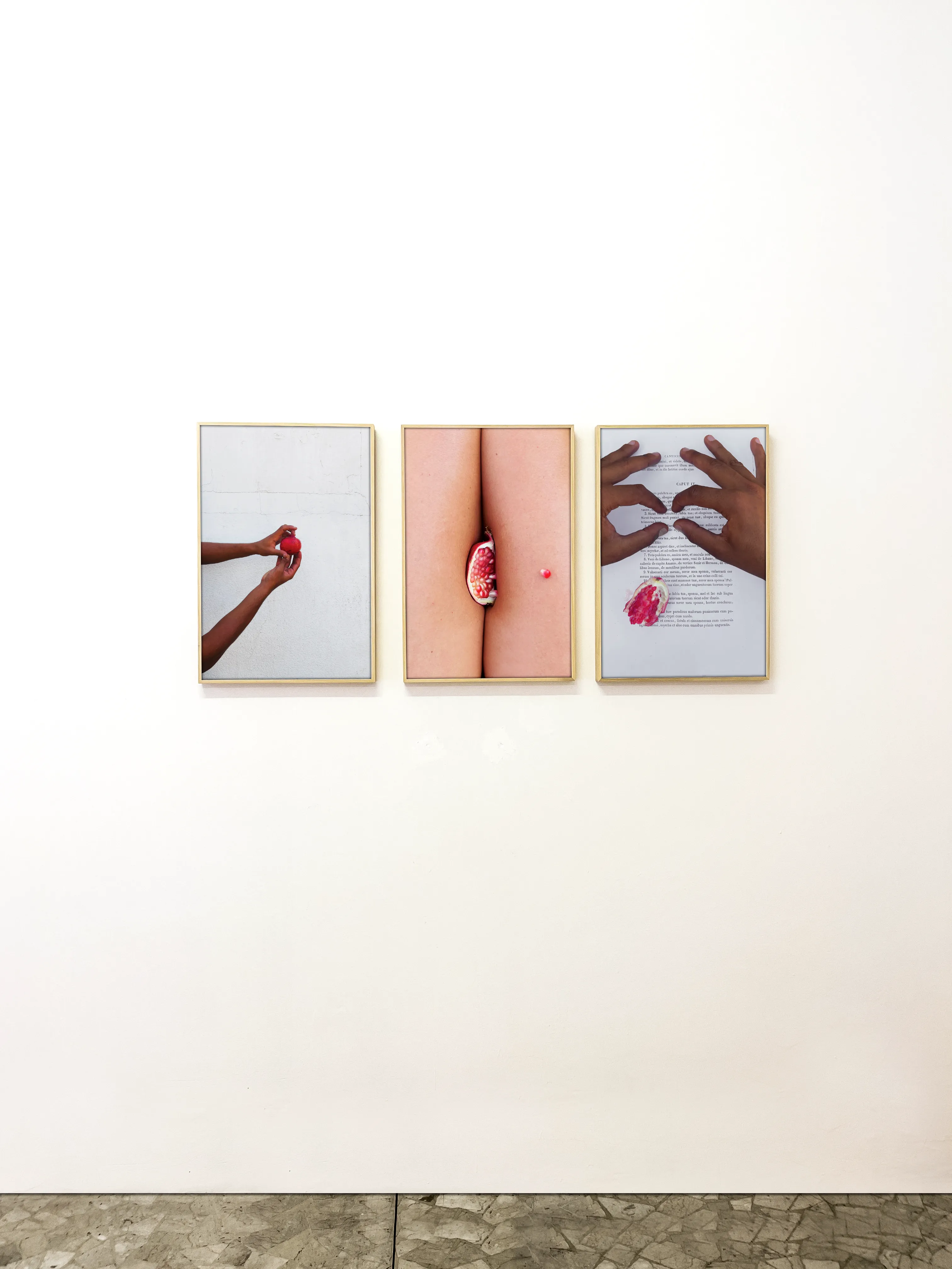 Canticum Canticurum Meum — Installation View — Apick Gallery Turin