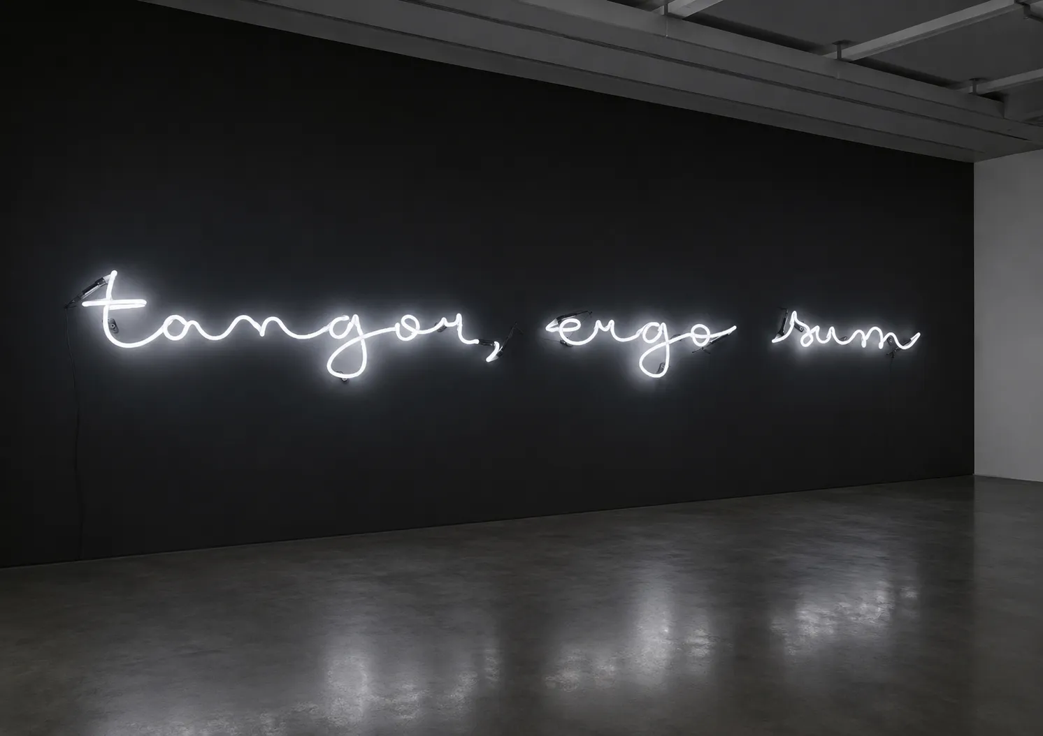 Tangor Ergo Sum — Neon